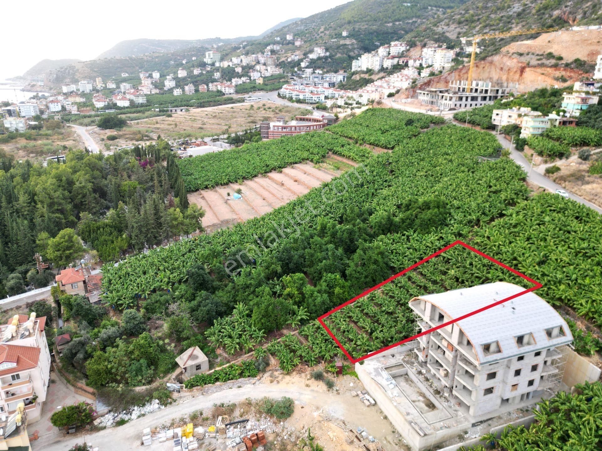 Alanya Dinek Mevkiinde Kiralık 800 M2 İmarlı Arsa - Görsel 13