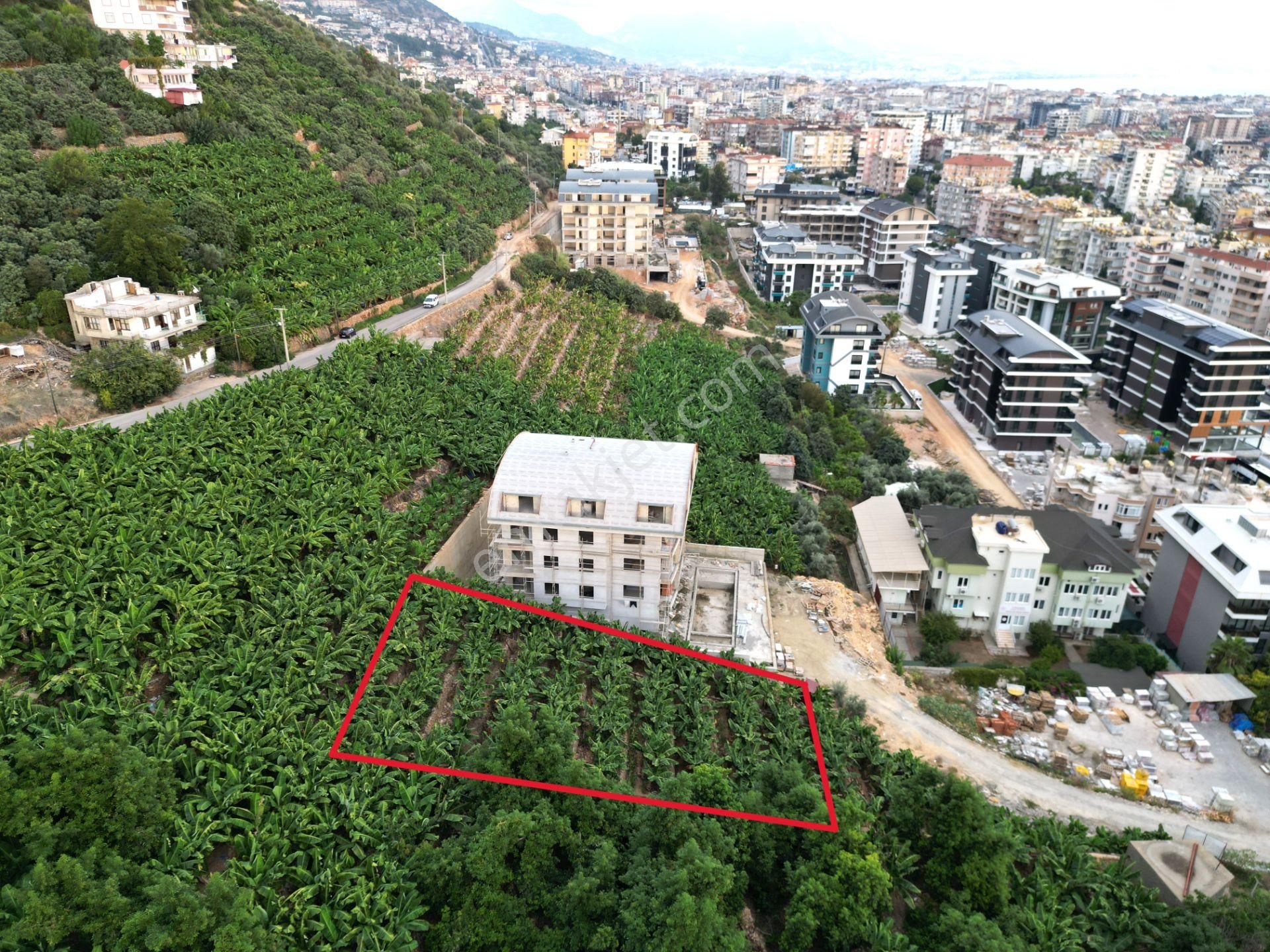 Alanya Dinek Mevkiinde Kiralık 800 M2 İmarlı Arsa - Görsel 7