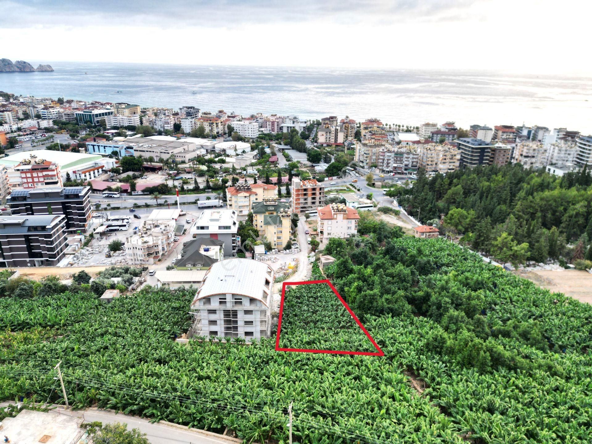 Alanya Dinek Mevkiinde Kiralık 800 M2 İmarlı Arsa - Görsel 8
