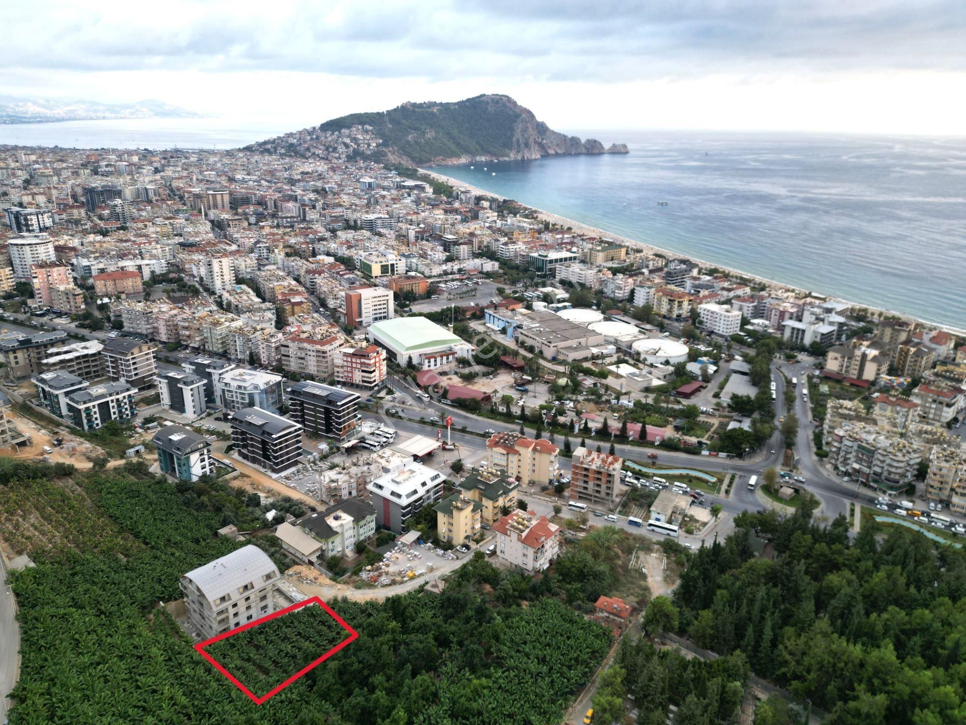 Alanya Dinek Mevkiinde Kiralık 800 M2 İmarlı Arsa - Görsel 5