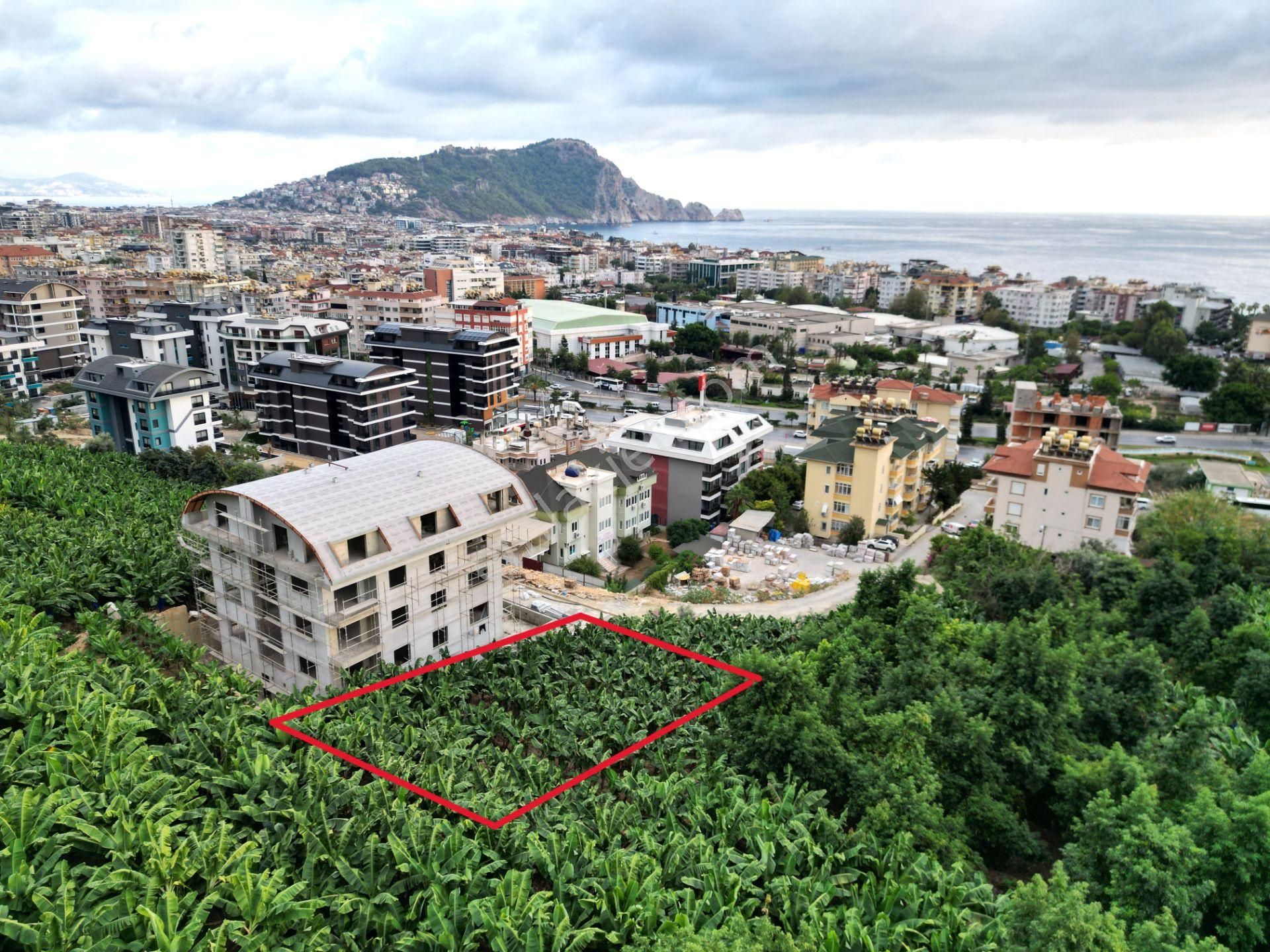 Alanya Dinek Mevkiinde Kiralık 800 M2 İmarlı Arsa - Görsel 4