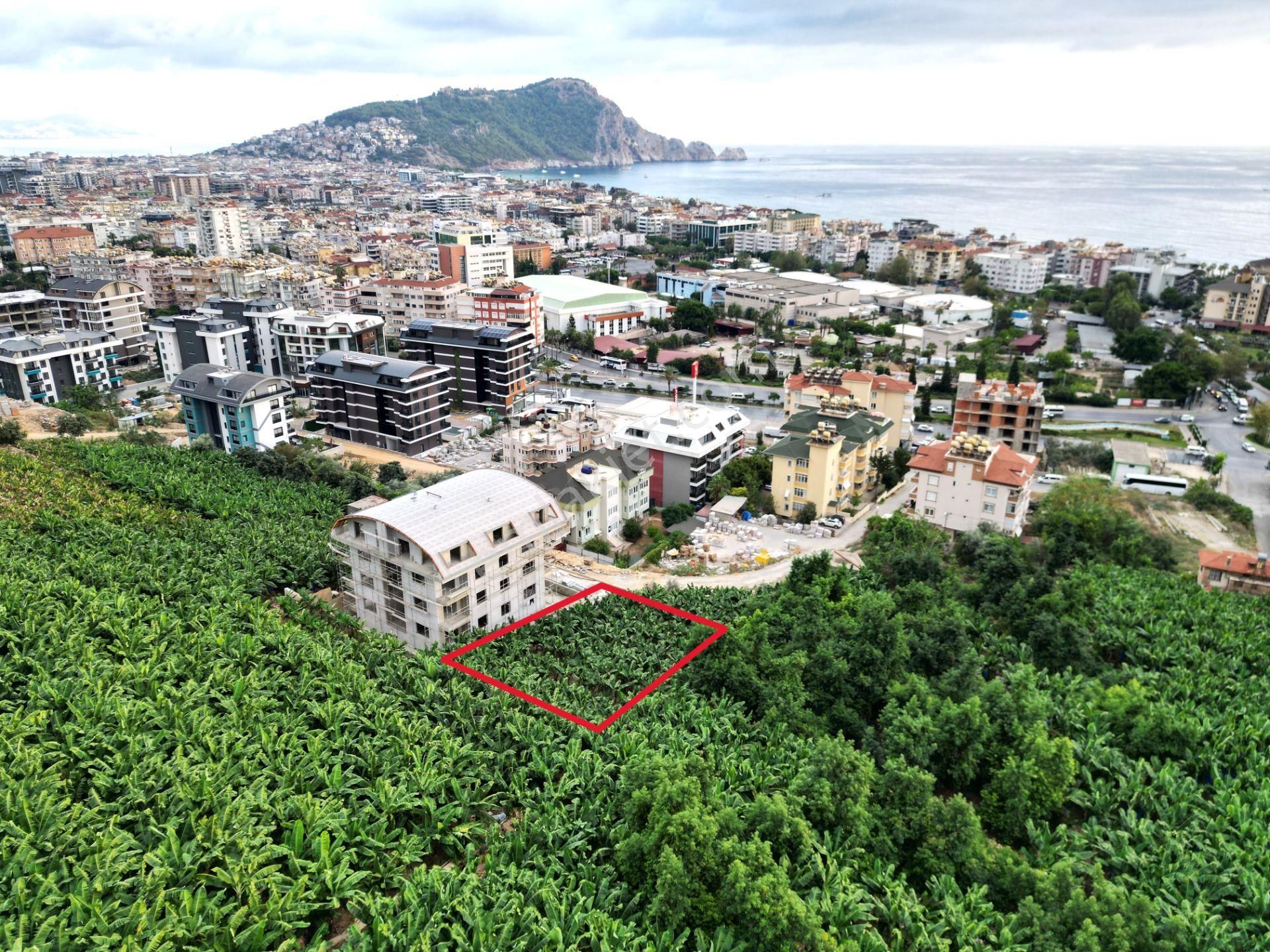 Alanya Dinek Mevkiinde Kiralık 800 M2 İmarlı Arsa - Görsel 2