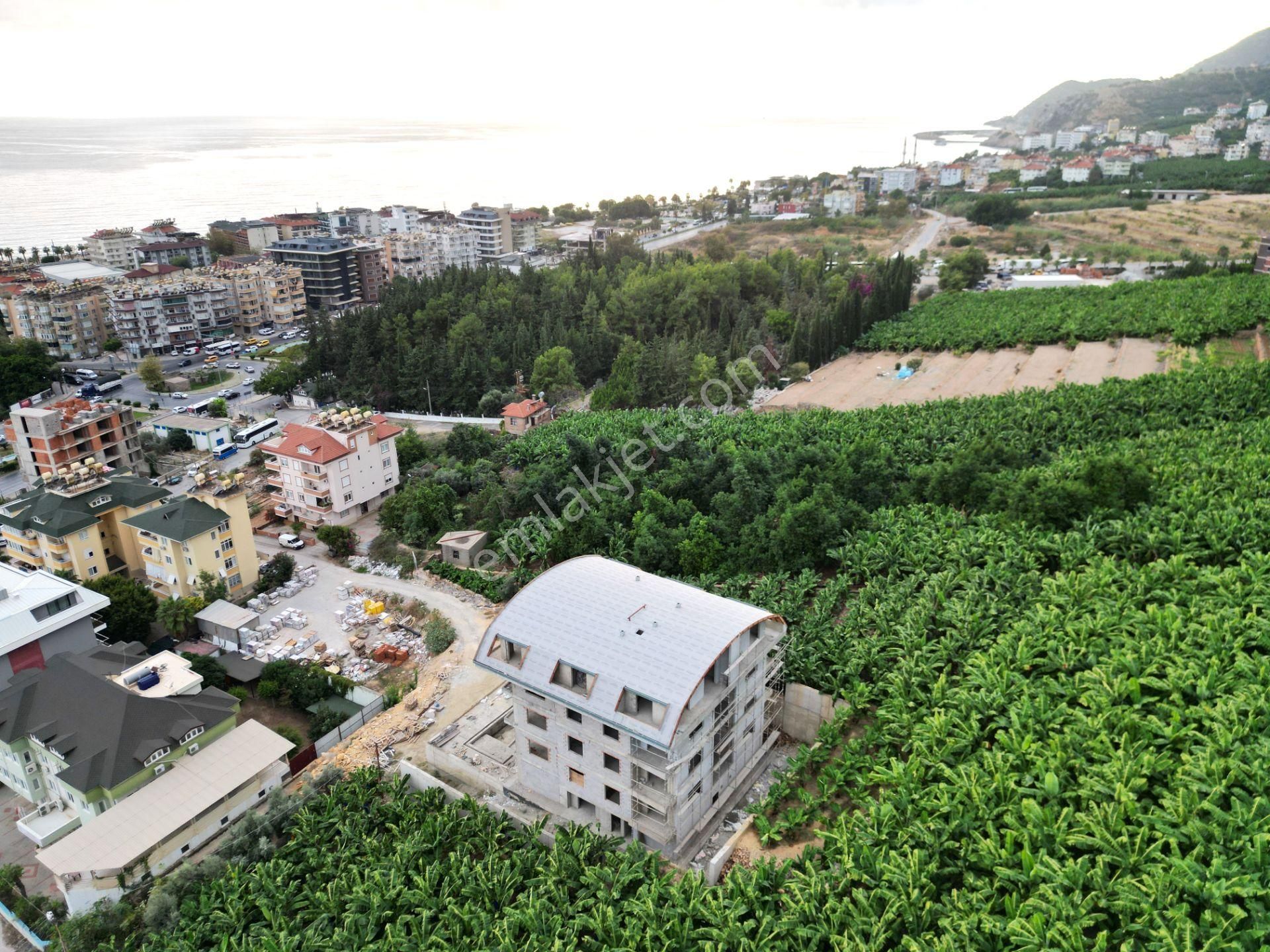 Alanya Dinek Mevkiinde Kiralık 800 M2 İmarlı Arsa - Görsel 10