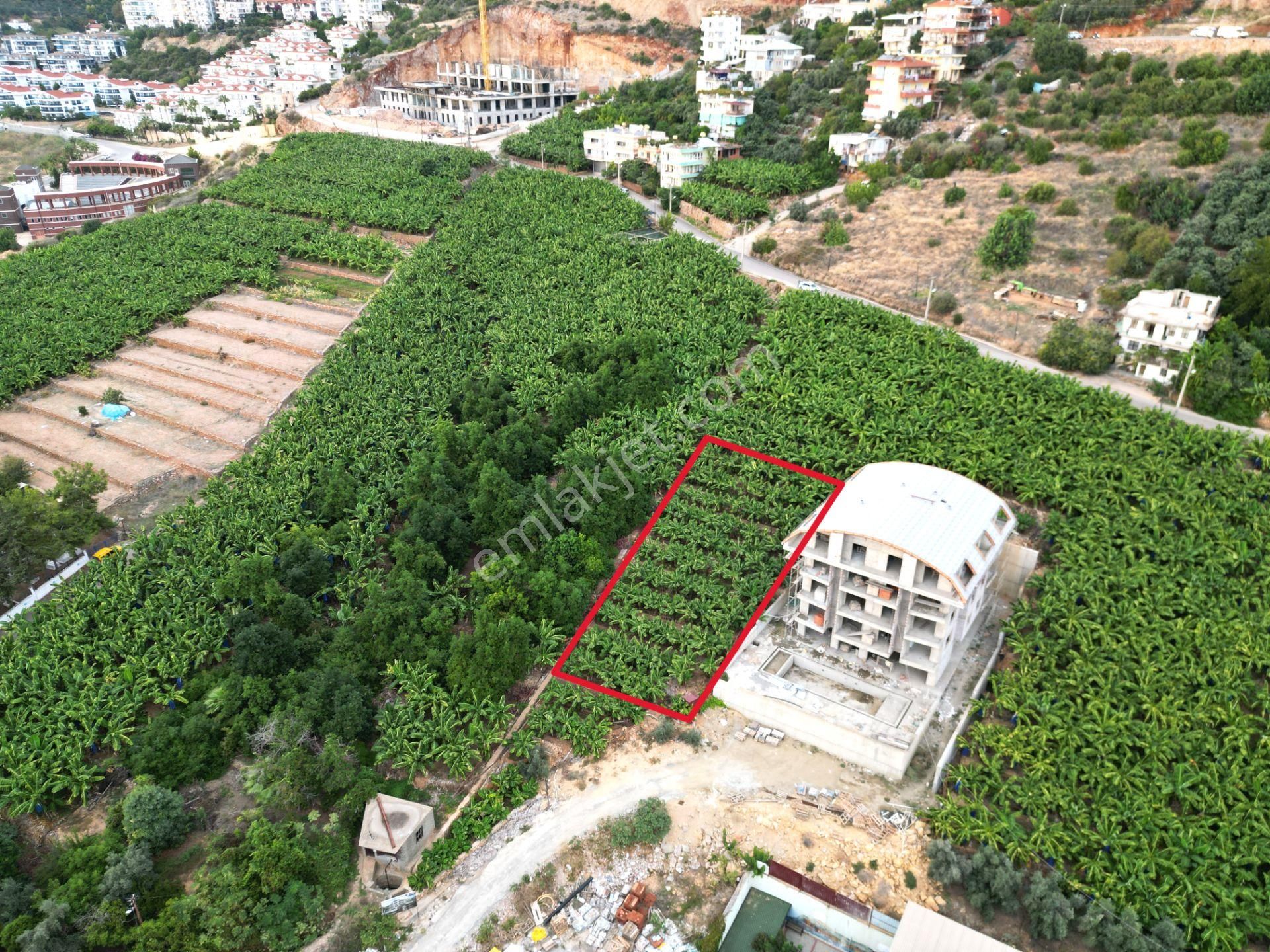 Alanya Dinek Mevkiinde Kiralık 800 M2 İmarlı Arsa - Görsel 11