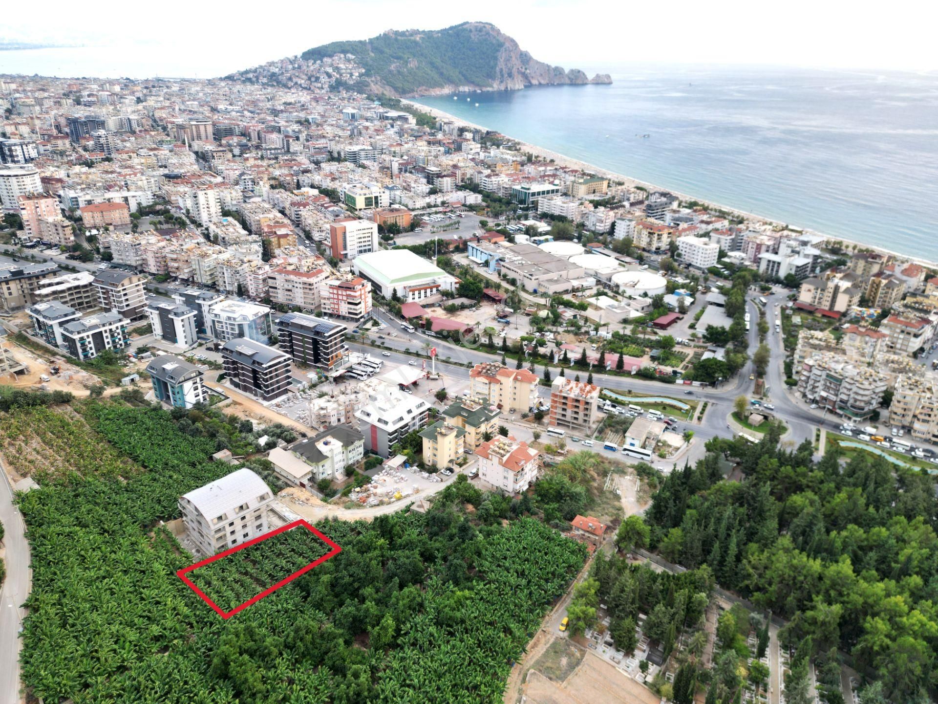 Alanya Dinek Mevkiinde Kiralık 800 M2 İmarlı Arsa - Görsel 3