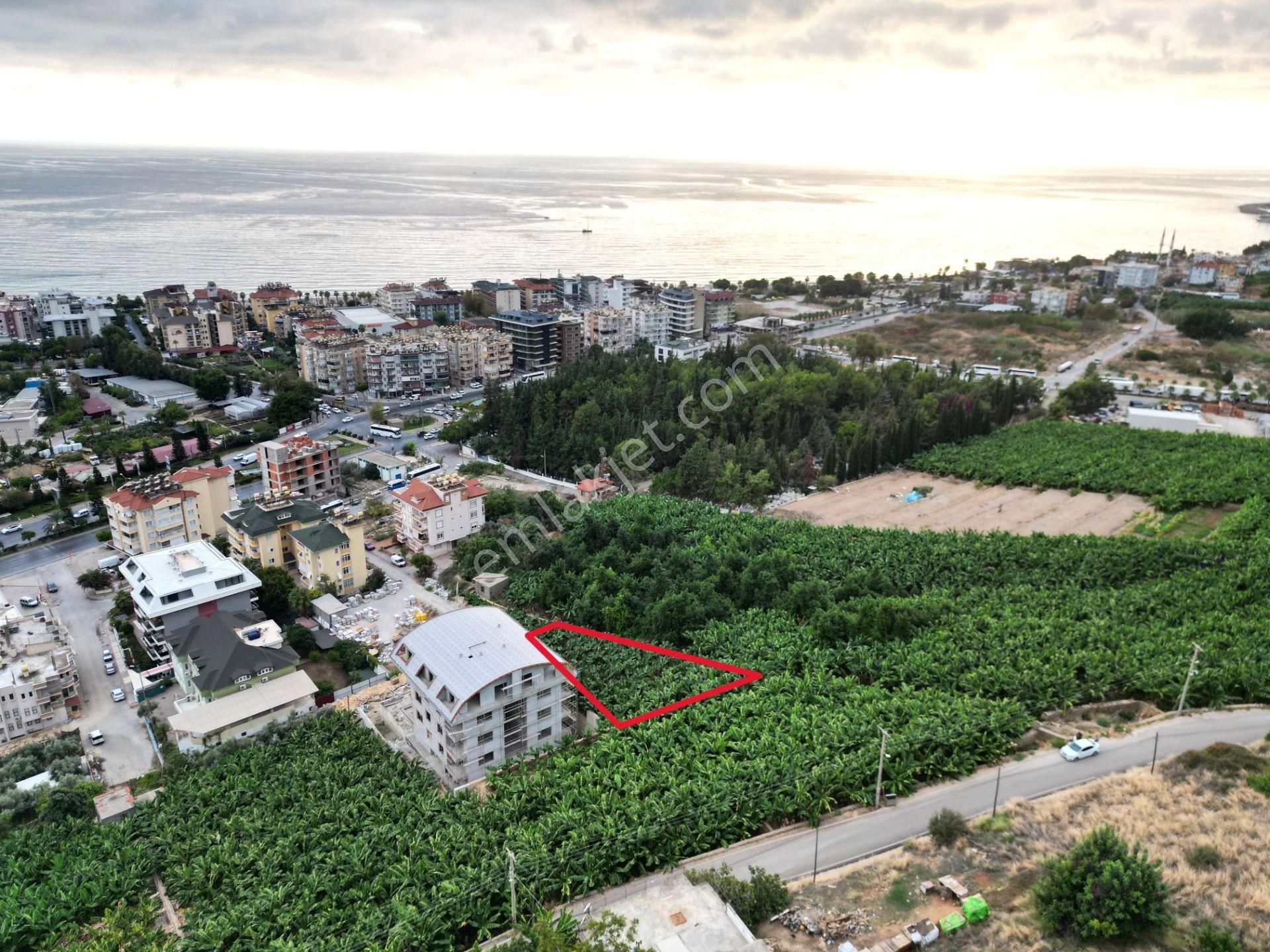 Alanya Dinek Mevkiinde Kiralık 800 M2 İmarlı Arsa - Görsel 6