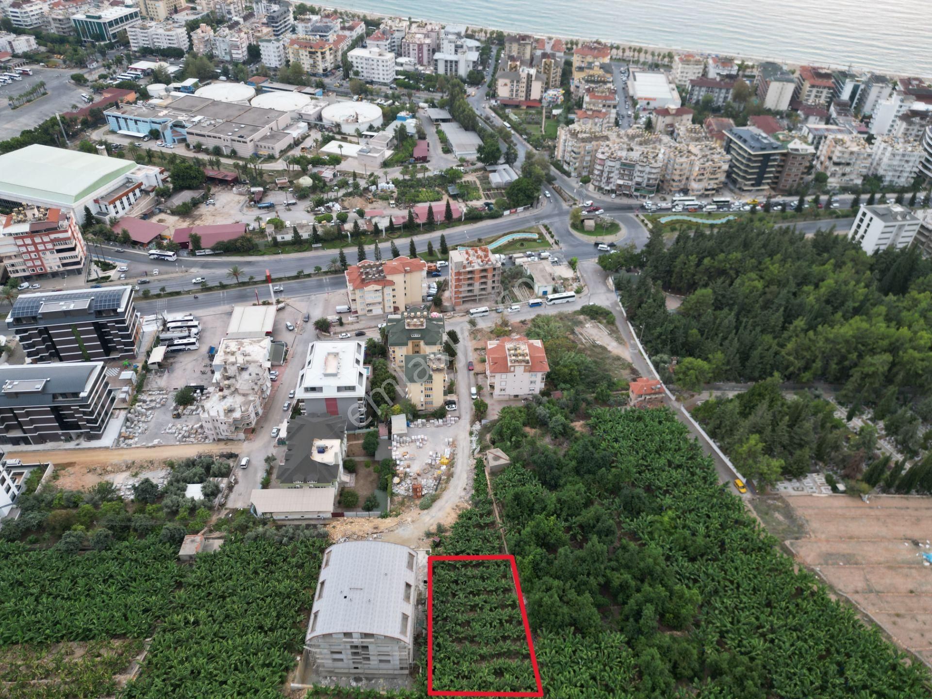 Alanya Dinek Mevkiinde Kiralık 800 M2 İmarlı Arsa - Görsel 15
