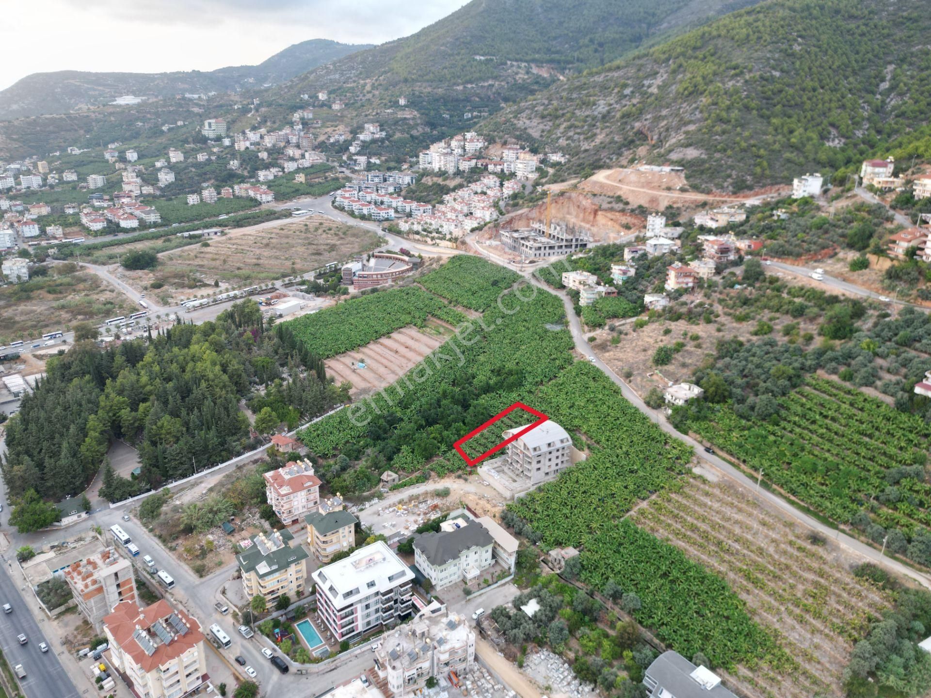 Alanya Dinek Mevkiinde Kiralık 800 M2 İmarlı Arsa - Görsel 14