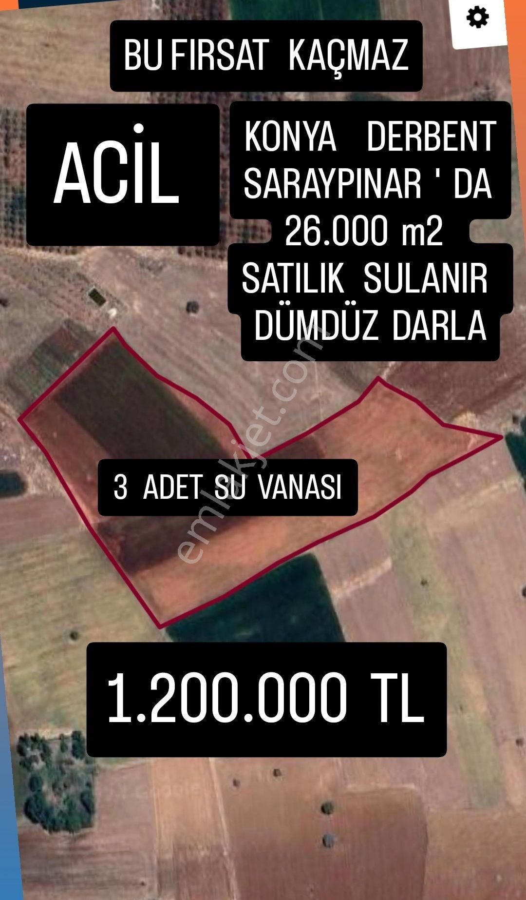 Derbent Saraypınar Satılık Tarla Derbent Saraypınar Da 26.000 M2 Satılık Tarla