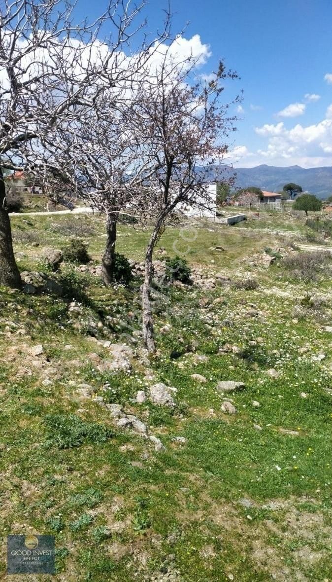 Menemen Kır Satılık Tarla MENEMEN KIR MAHALLESİNDE MÜSTAKİL TAPULU SATILIK TARLA