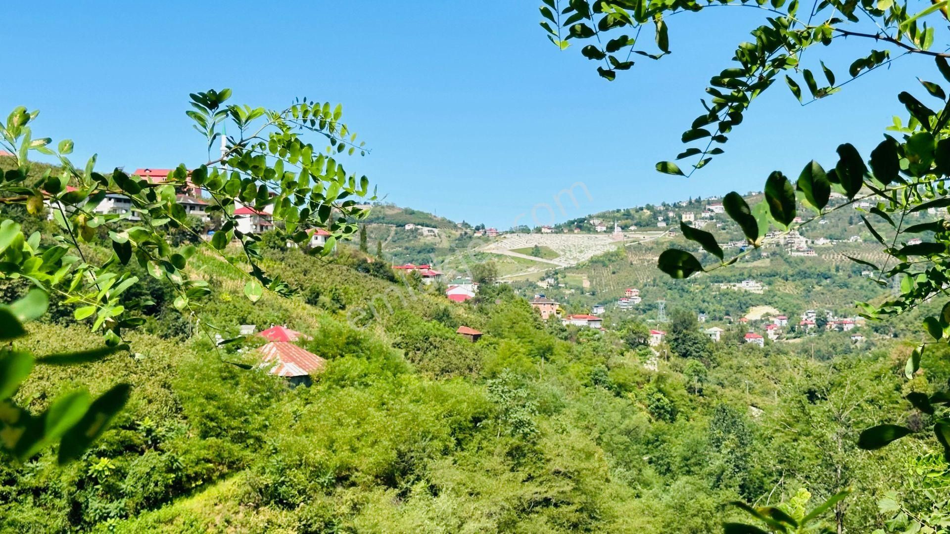 Ortahisar Yeşilova Satılık Villa İmarlı  TRABZON YEŞİLOVA SATILIK VİLLALIK ARAZİ