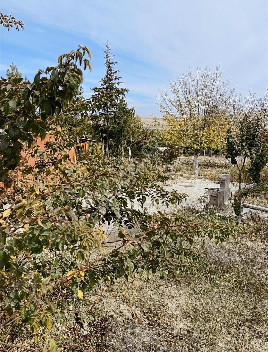 Polatlı Şentepe Satılık Tarla Polatlı Şentepe mahallesi satılık bağ evi