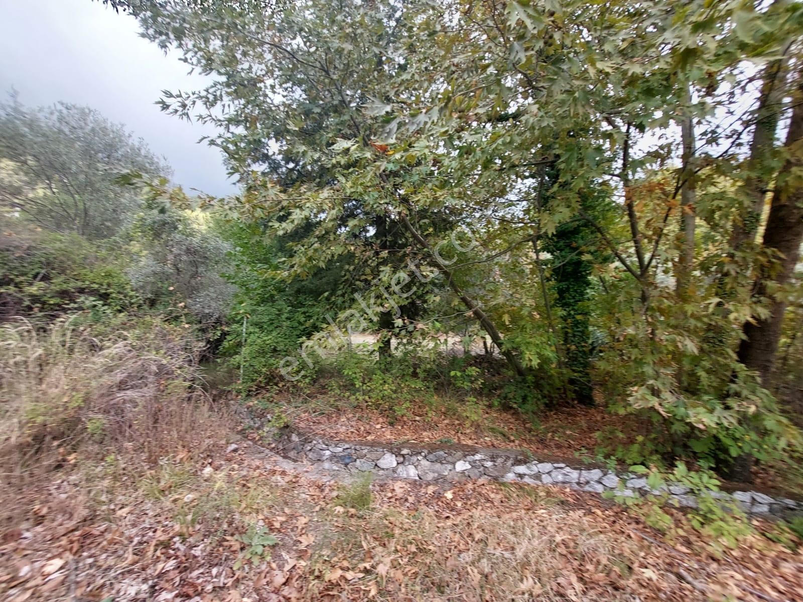 Köyceğiz Yaylada Merkezde, Mustakil 260 M2 İmarlı Arsa Satılık - Görsel 2