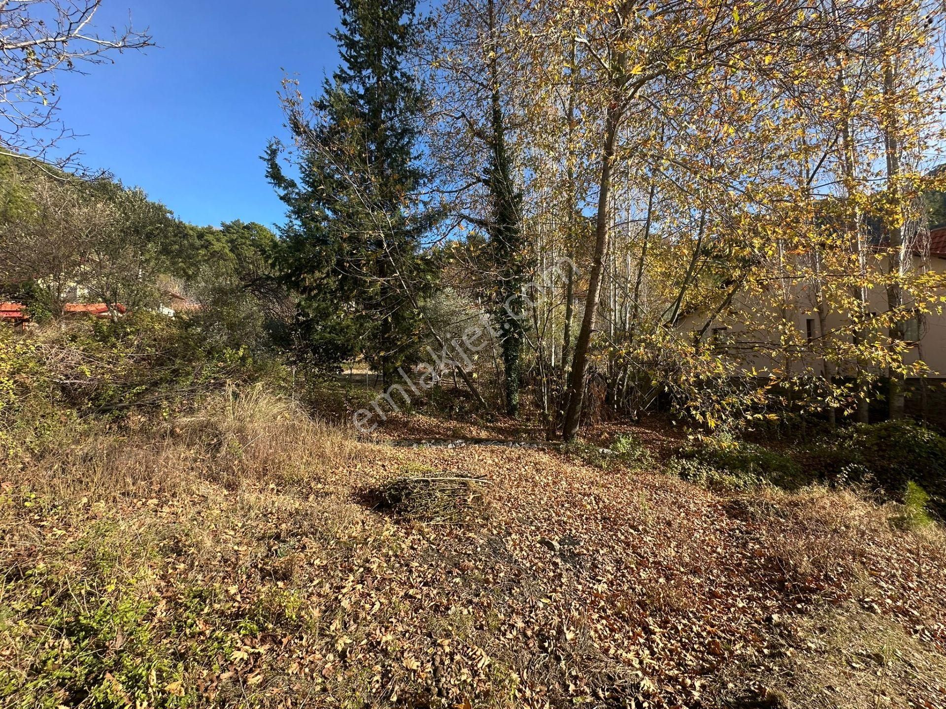 Köyceğiz Yaylada Merkezde, Mustakil 260 M2 İmarlı Arsa Satılık - Görsel 9