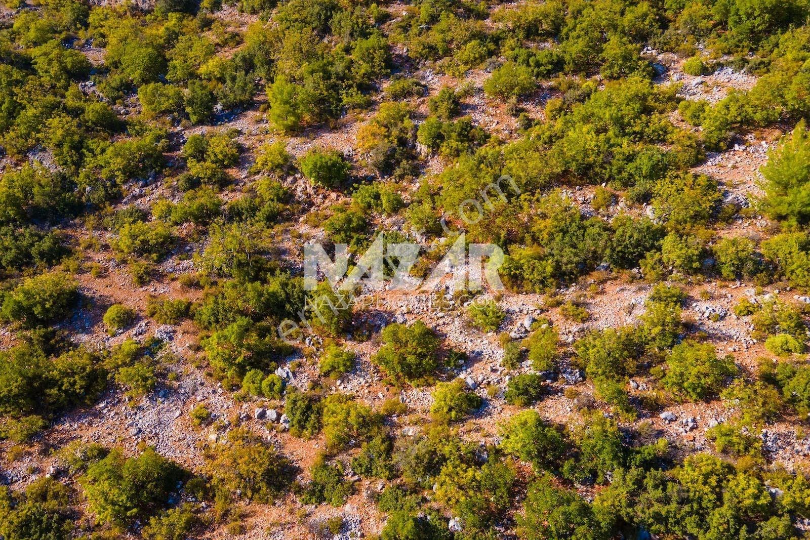 Alanya Yenice Köyü’nde 3.682 M² Satılık Tarla