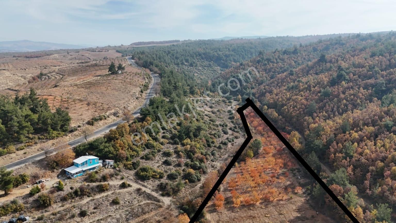 Turgutlu Güney Satılık Bağ & Bahçe Turpa'dan Elektrik Suyu Olan Satılık Kiraz Bahçesi