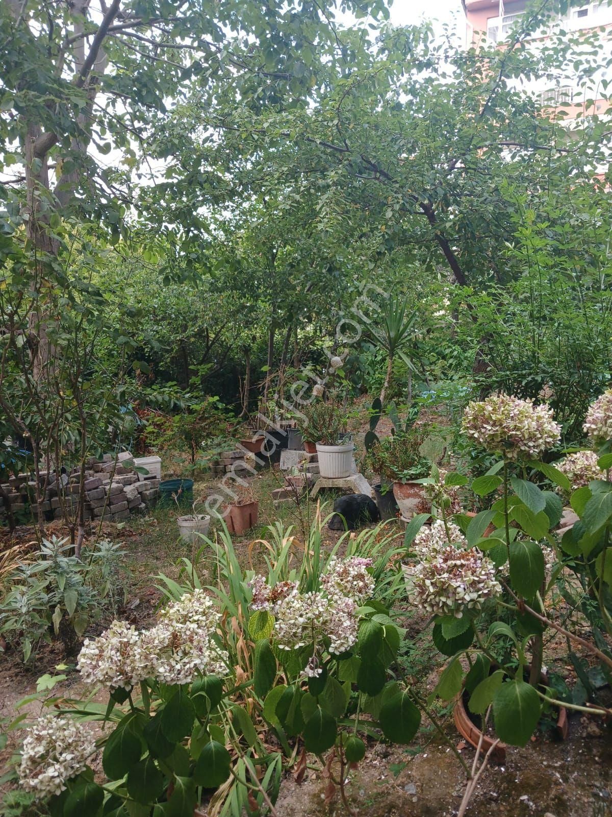 Sarıyer Zümrütevler'de Satılık 3 Katlı Müstakil Bahçeli Hisse Tapulu Ev - Görsel 28