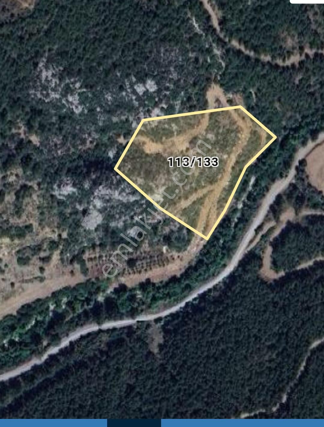 Gazipaşa Yeşilyurt Satılık Tarla  YEŞİLYURT(MASITBÜKÜ MEVKİ) GAZİPAŞA ALANYA 13.729M2 SATILIK TARLA