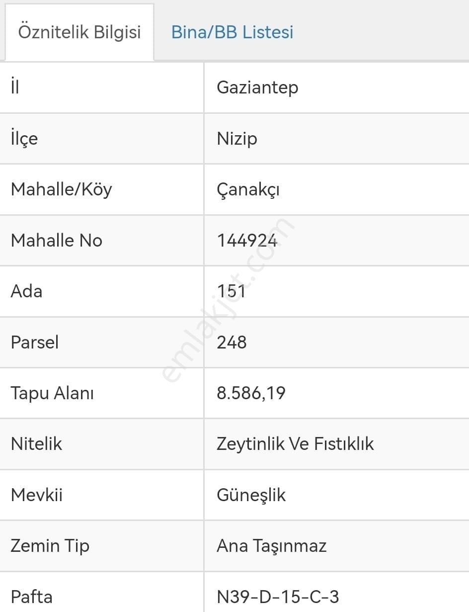 Nizip Çanakçı Satılık Tarla  SATILIK ZEYTİNLİK VE FISTIKLIK TARLA