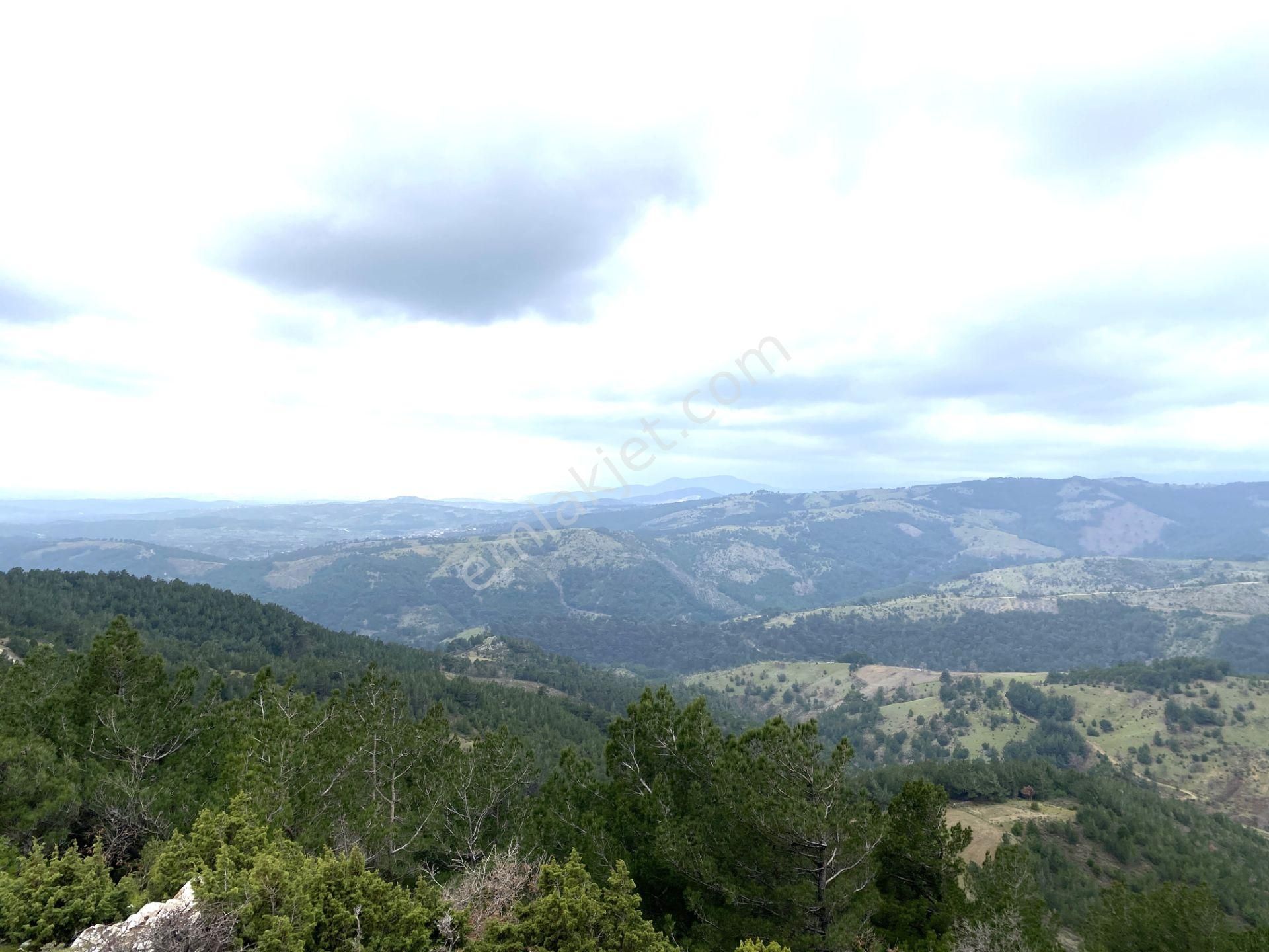 Havran Kocaseyit Satılık Tarla  🌳🌳GÜLTAŞ EMLAKTAN HAVRANDA SATILIK 5100m ETRAFI TEL ÇİTLE ÇEVRİLİ TARLA