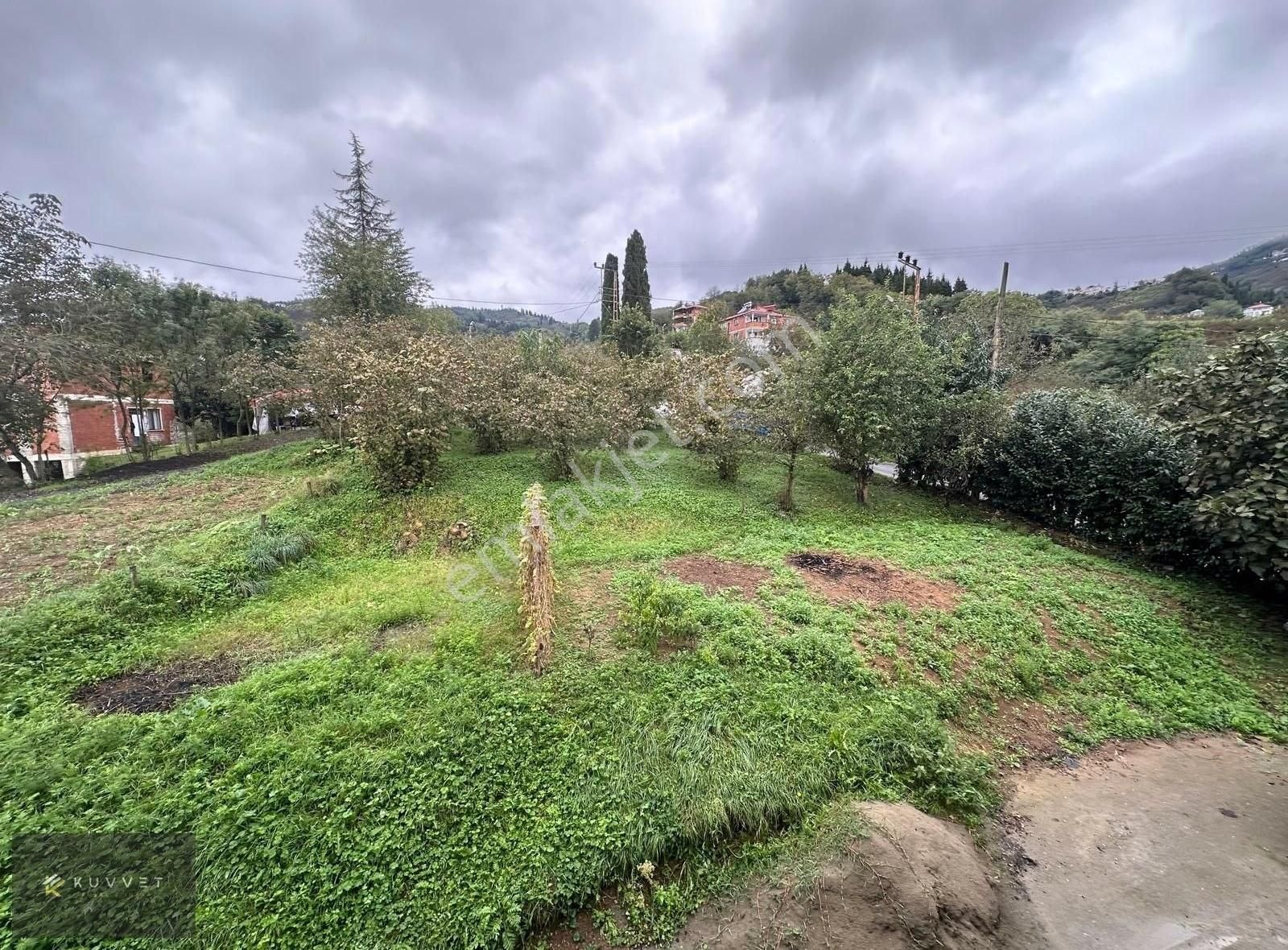 Ortahisar Akoluk Satılık Villa İmarlı KUVVET EMLAK'TAN KAMIŞLI(AKOLUK)DA SATILIK ARSA