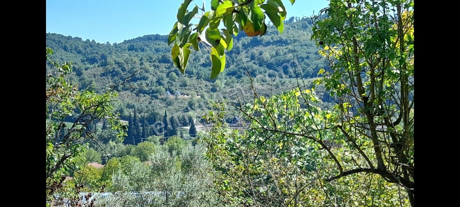 Sapanca Akçay Satılık Bağ & Bahçe Rt Safirden Sapanca Akçay'da Satılık Arazi