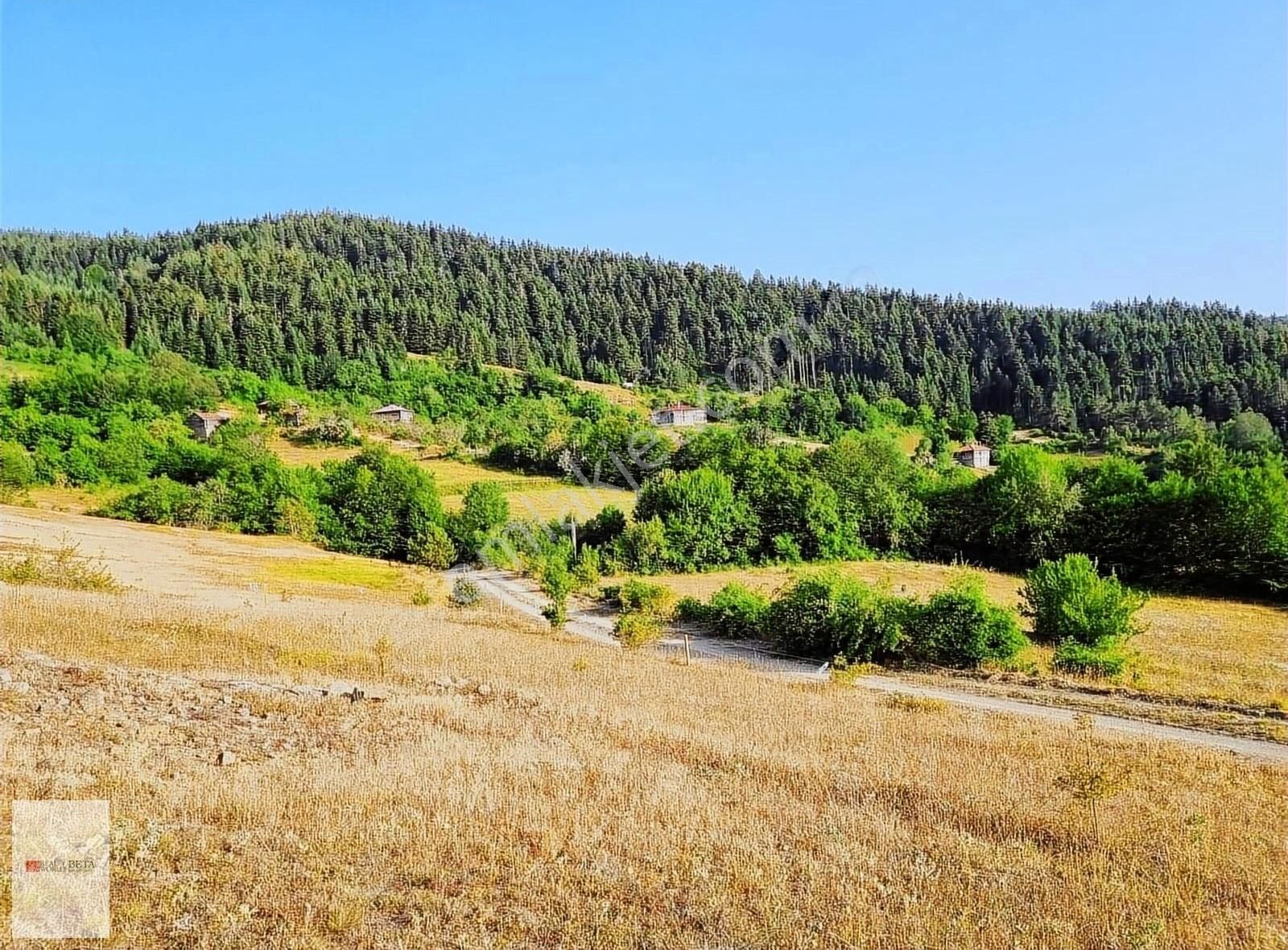 Dikmen Bucak Köyü (Merkez) Satılık Tarla RW.BETA T/Ö'DEN SİNOP/DİKMEN SATILIK TARLA