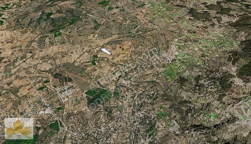 Milas Hasanlar Satılık Tarla Çınar Emlaktan Milas Hasanlarda 9600m2 Zeytinlik Ve Tarla