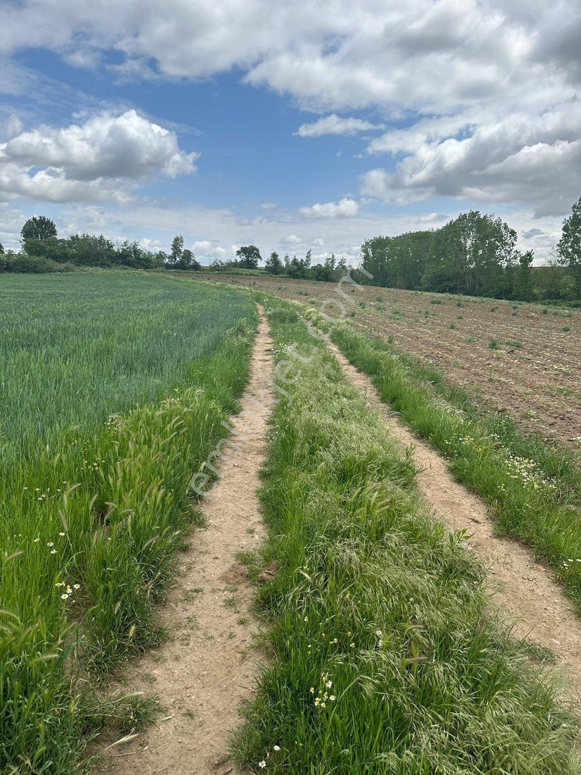 Mahmudiye Yeni Satılık Konut İmarlı  ESKİŞEHİR MAHMUDIYE YENİ DE 109 M2 SATILIK ARSA