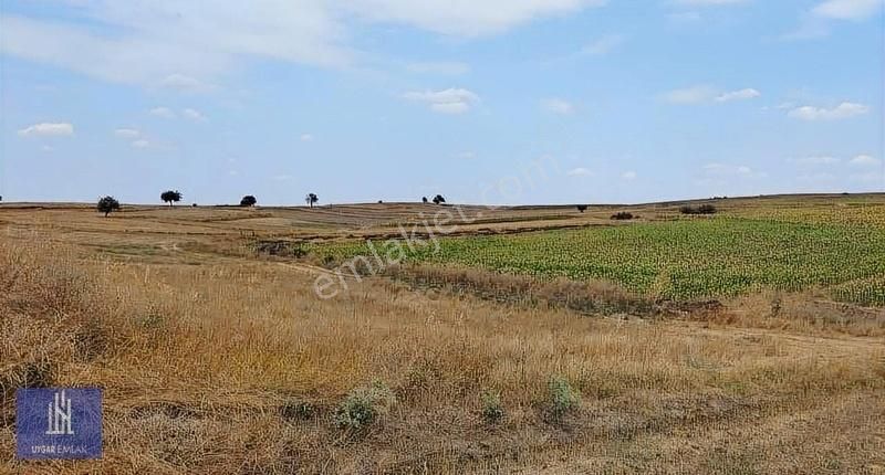 Hayrabolu Çerkezmüsellim Satılık Tarla UYGAR EMLAK HAYRABOLU ÇERKEZMÜSELLİM DE TAKASA UYGUN ARAZİ