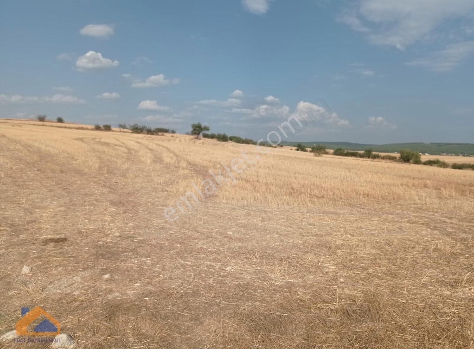 Keşan Mecidiye Köyü (Cumhuriyet) Satılık Tarla Edirne Keşan Mecidiye'de Yatırımlık Uygun Fiyata Kelepir Arsa