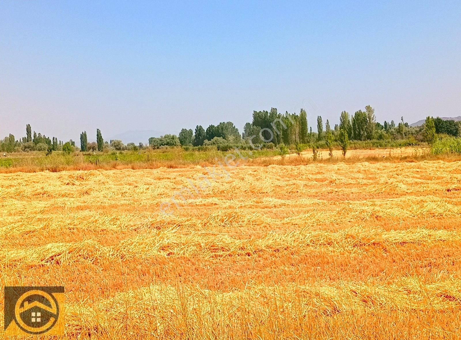 Seydişehir Akçalar Satılık Tarla EKON,DAN AKÇALAR BAĞLAR BÖLGESİNDE 240 M2 MÜSTAKİL TAPULU TARLA