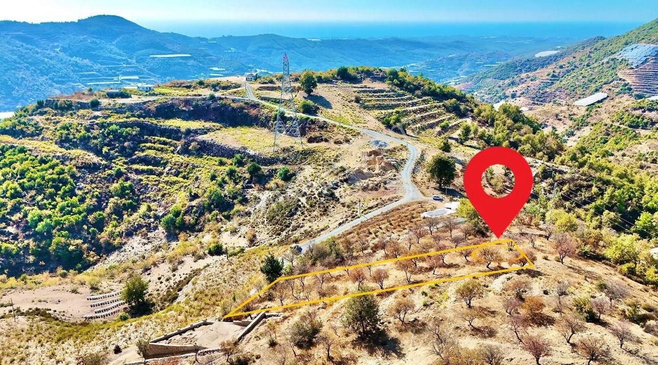 Alanya Güney Satılık Tarla ALANYA GÜNEY KÖYÜ’NDE 940 M2 SATILIK FIRSAT TARLA