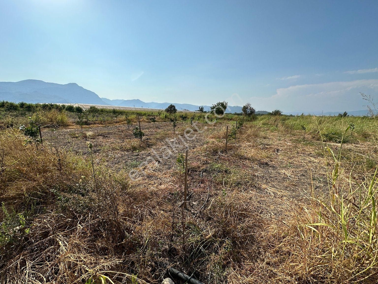 ‼️‼️‼️muğla Ortaca Eskiköy Tam Yatırımlık Özel Mülk‼️‼️‼️ - Görsel 6