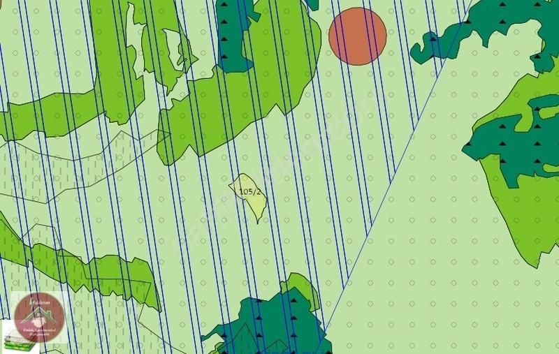 Balcıda %5+30 İmarlı 21.264m² Mükemmel Çiftlik Arazisi - Görsel 7