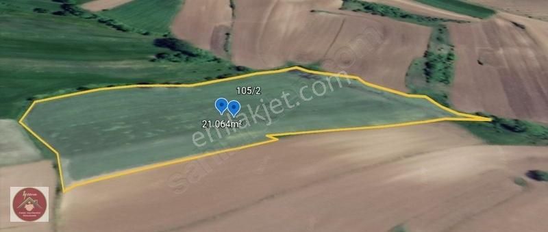 Balcıda %5+30 İmarlı 21.264m² Mükemmel Çiftlik Arazisi - Görsel 6
