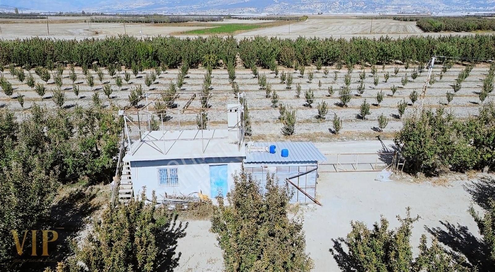 Vip Gayrimenkul'den Eymir Mah. 24.738m² Yetişkin Elma Bahçesi - Görsel 13