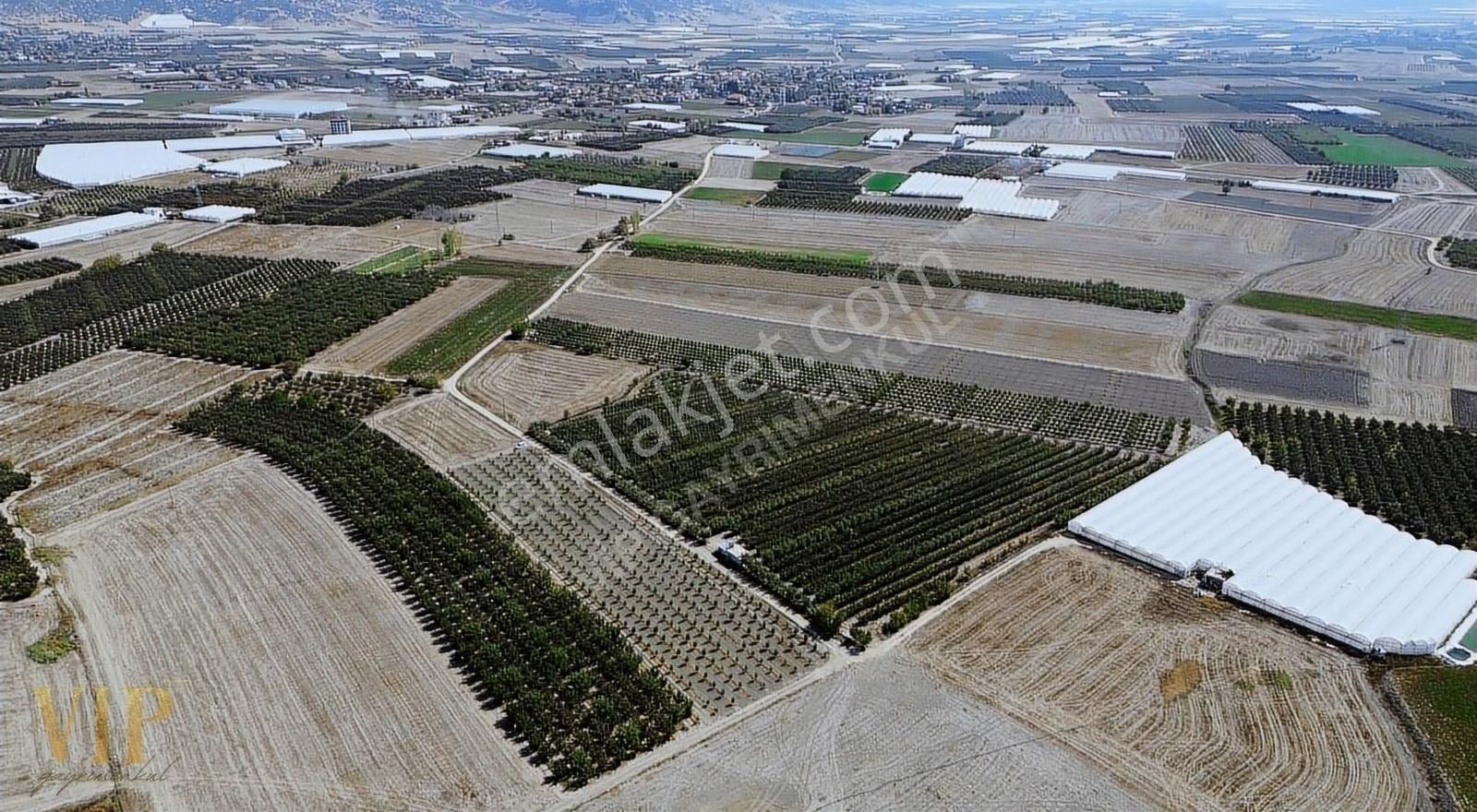 Vip Gayrimenkul'den Eymir Mah. 24.738m² Yetişkin Elma Bahçesi - Görsel 26