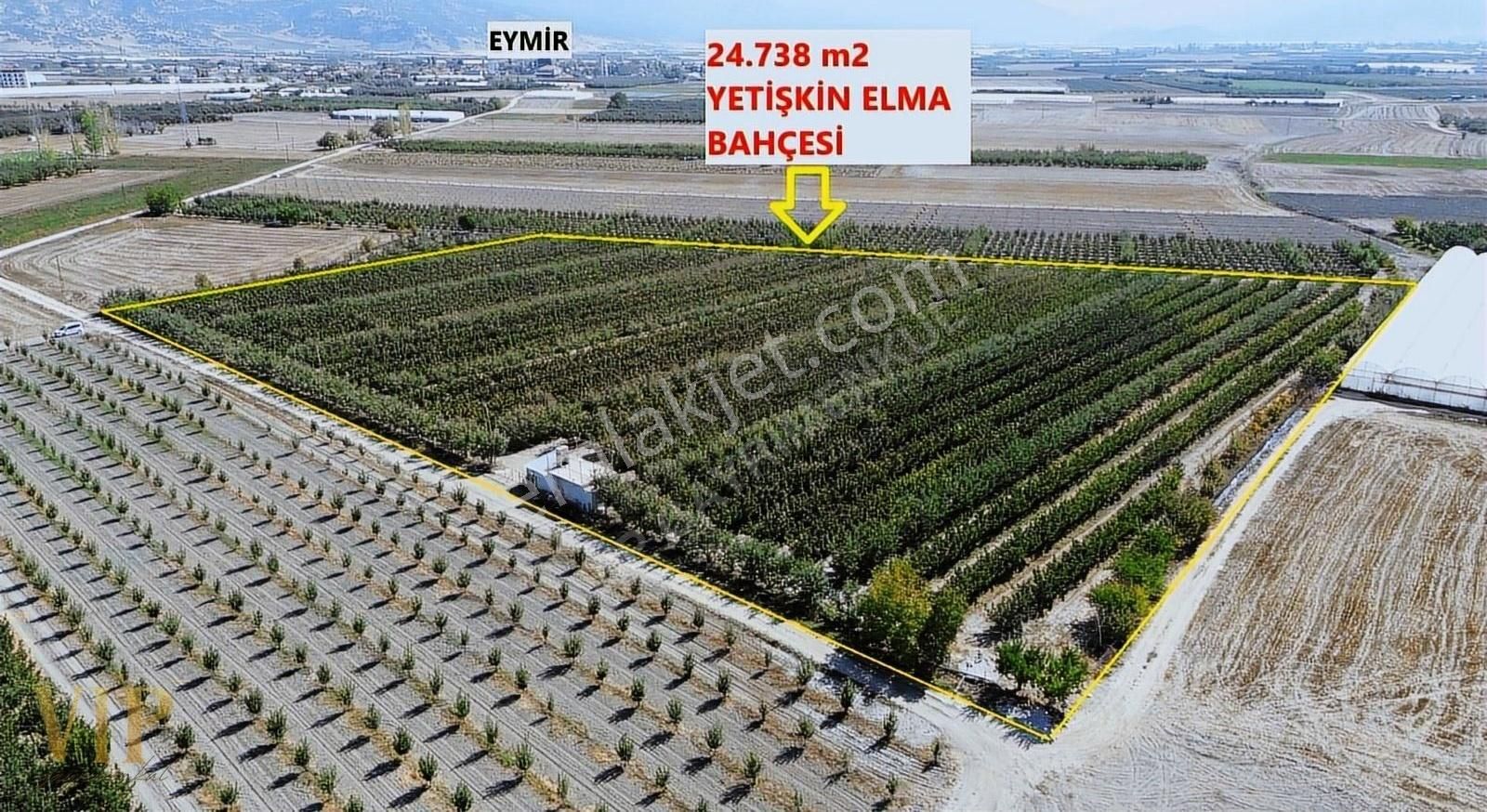 Elmalı Eymir Satılık Tarla Vip Gayrimenkul'den Eymir Mah. 24.738m² Yetişkin Elma Bahçesi