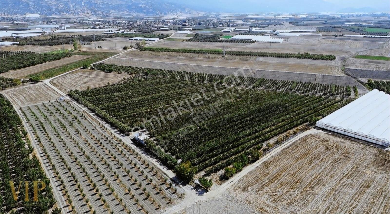 Vip Gayrimenkul'den Eymir Mah. 24.738m² Yetişkin Elma Bahçesi - Görsel 12