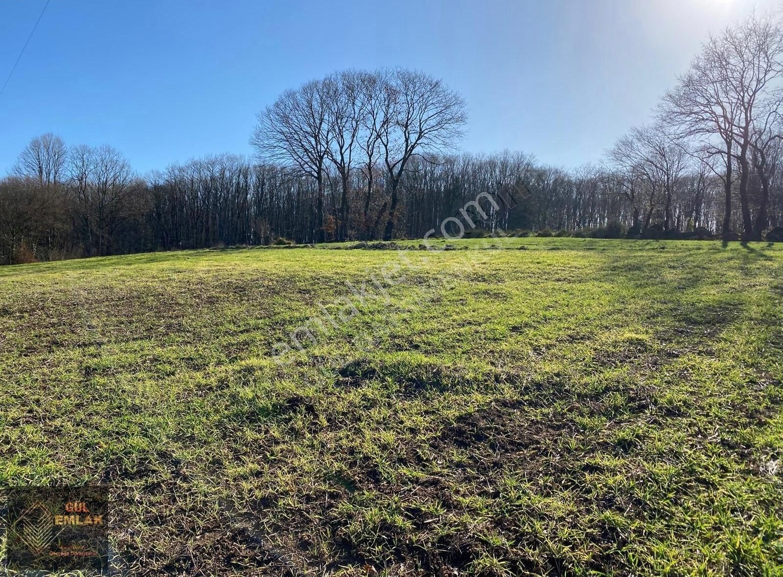 Silivri Dana Mandıra Köye Yakın Kadastrol Yollu Satılık Tarla - Görsel 2