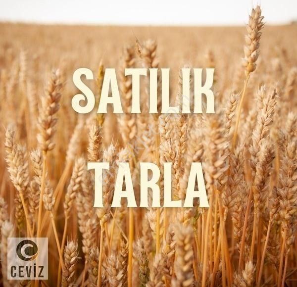 Seydikemer Yakaköy Satılık Tarla Yaka'da Satılık 1610 Metrekare Müstakil Parsel / Ru-en