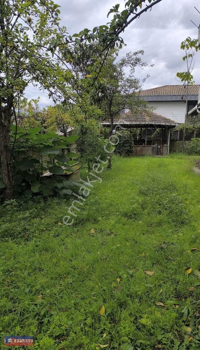 Fatsa Dolunay Kiralık Bina Karadeniz Sahil Yolunda Deniz Manzarali Natamam Bahceli Villa