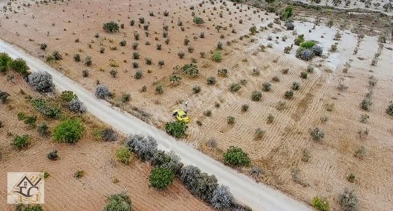 Oğuzeli Bulduk Satılık Bağ & Bahçe OĞUZELİ DE SATLIK YOL ÜSTÜ TEK TAPU 1450 m2 BAĞ EVLİK ARAZİ