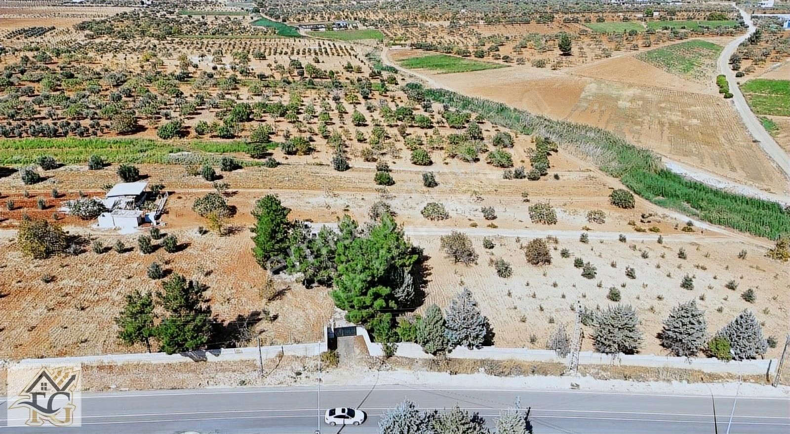 Oğuzeli Gürsu Satılık Bağ & Bahçe Oğuzeli Gürsu 9400m2 asfalt cepheli satılık arazi