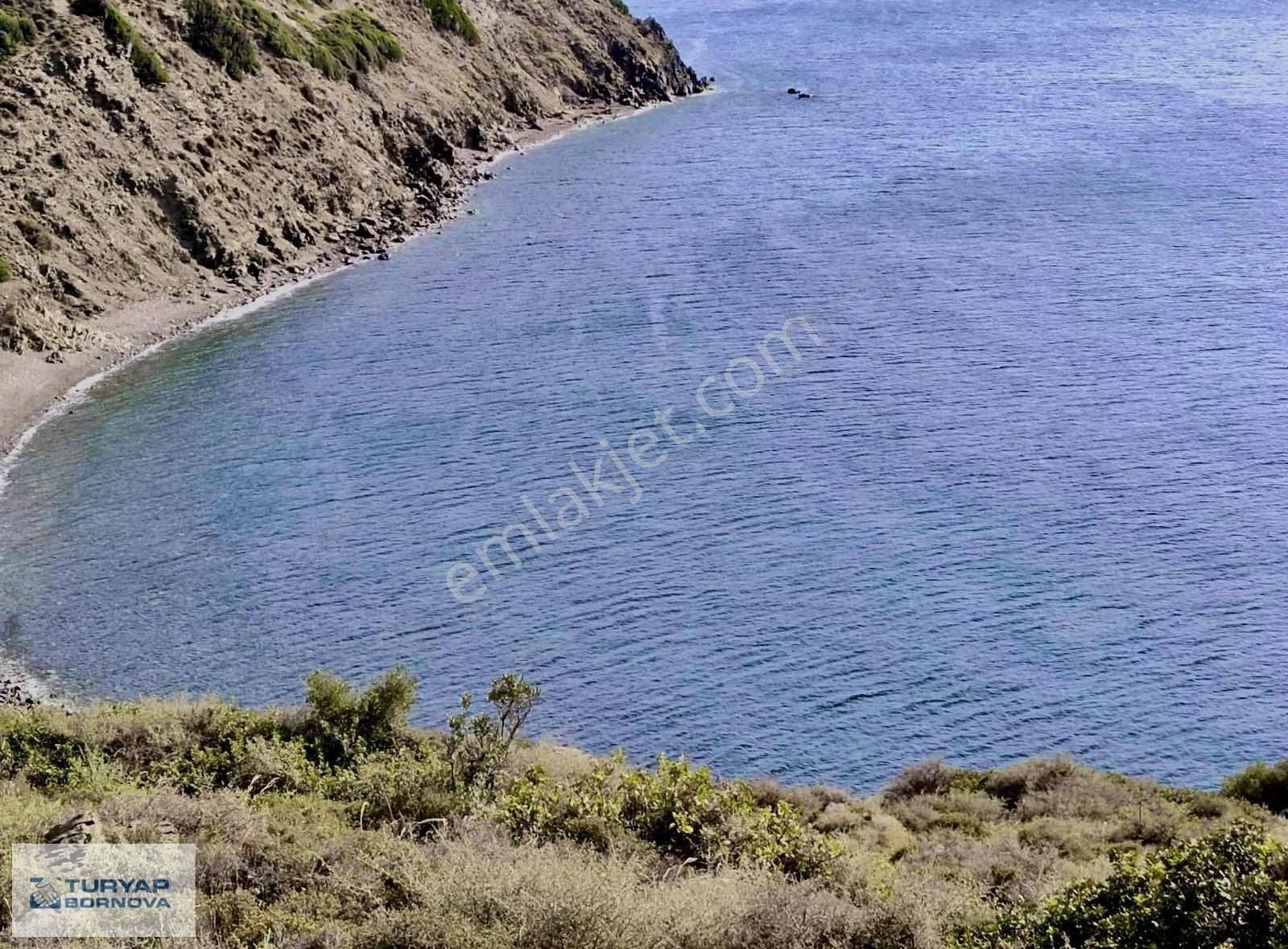 Karaburun Sarpıncık Satılık Tarla Karaburun Sarpıncık da Denize 250 M Mesafede 4,5 Dönüm Tarla