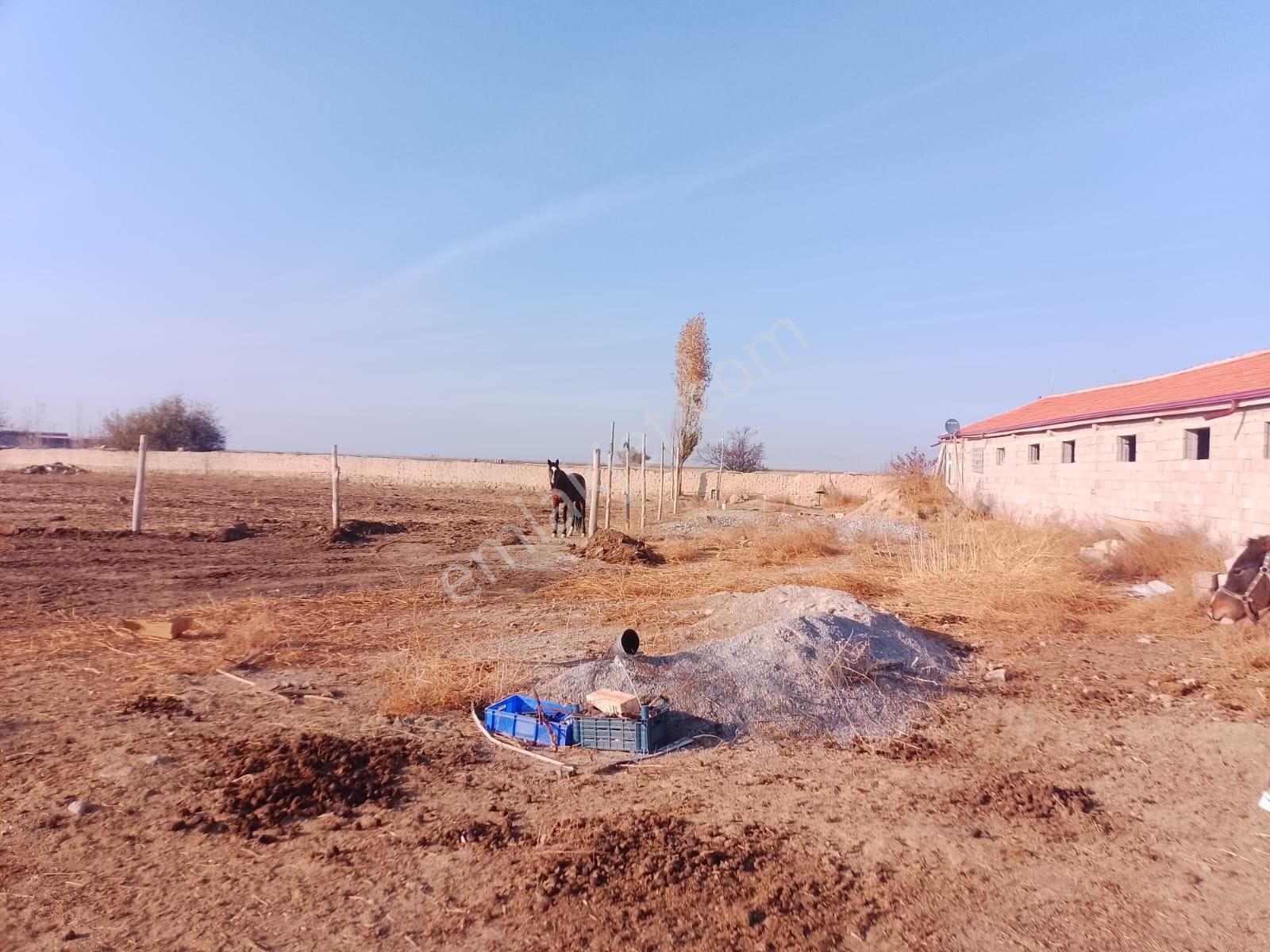 Akçay Emlak'tan Akşehir Ortaköy Mahallesinde Kurulu Düzende Satılık Çiftlik - Görsel 12