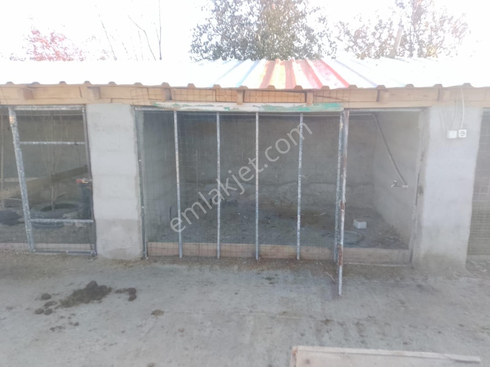 Akçay Emlak'tan Akşehir Ortaköy Mahallesinde Kurulu Düzende Satılık Çiftlik - Görsel 20