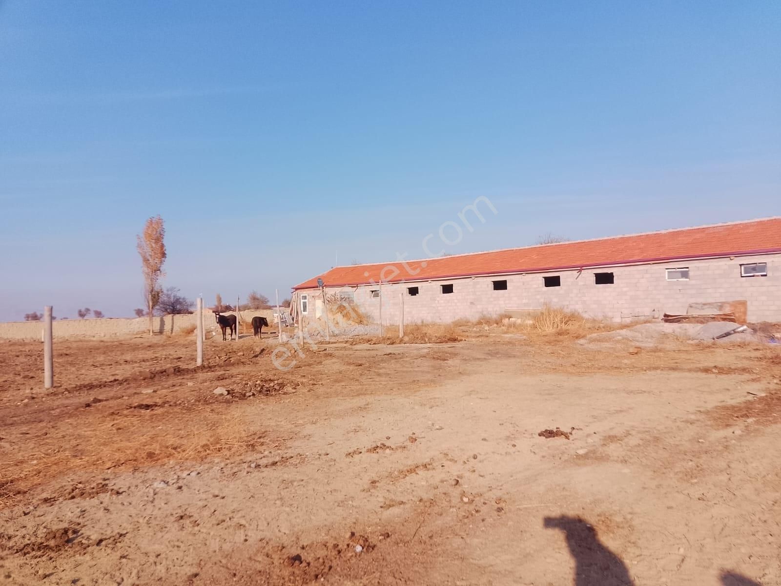 Akçay Emlak'tan Akşehir Ortaköy Mahallesinde Kurulu Düzende Satılık Çiftlik - Görsel 16