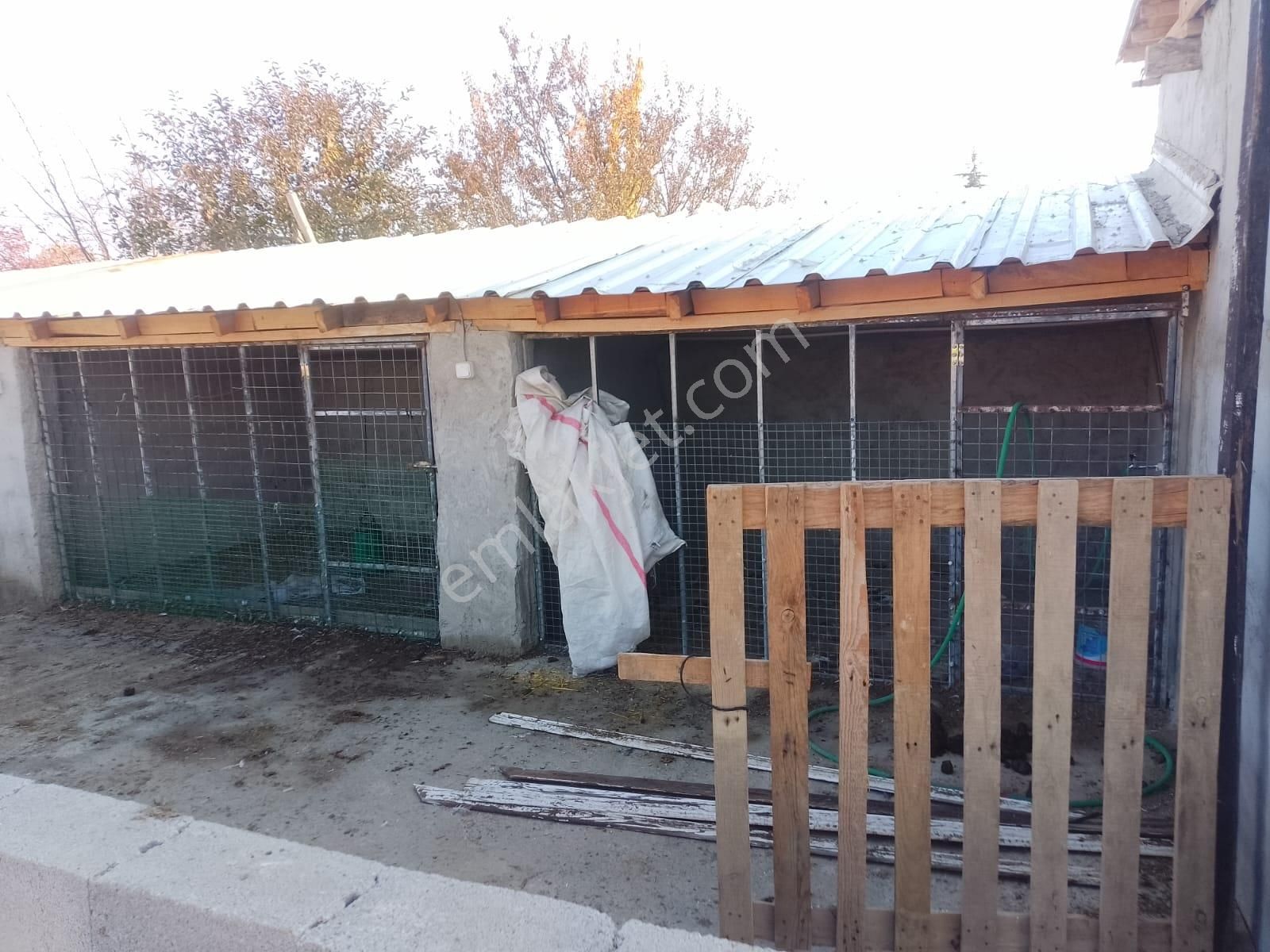 Akçay Emlak'tan Akşehir Ortaköy Mahallesinde Kurulu Düzende Satılık Çiftlik - Görsel 27